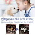 3pcs Teeth Cleaning Spray For Dogs & Cats Pet Oral Bad Breath Plaque Remover Spray