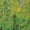 Natural, variant on Van Gogh Park Landscape Art Men's T-shirt
