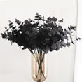 thumbnail image 3 of 1 paquete de tallos de hojas artificiales Sunnimix Eucalipto de imitación 18.5 pulgadas Negro, 3 of 5