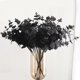thumbnail image 3 of 1 paquete de tallos de hojas artificiales Sunnimix Eucalipto de imitación 18.5 pulgadas Negro, 3 of 5