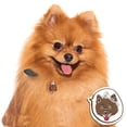 thumbnail image 3 of Flmtop Anti-Lost Pet Dogs ID Tag Collar Nameplate Pendant Key Chain Ring Bag Ornament 13#, 3 of 9