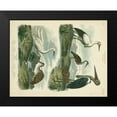 thumbnail image 2 of Edwards, Sydenham 14x12 Black Modern Framed Museum Art Print Titled - Heron and Crane Species I, 2 of 5