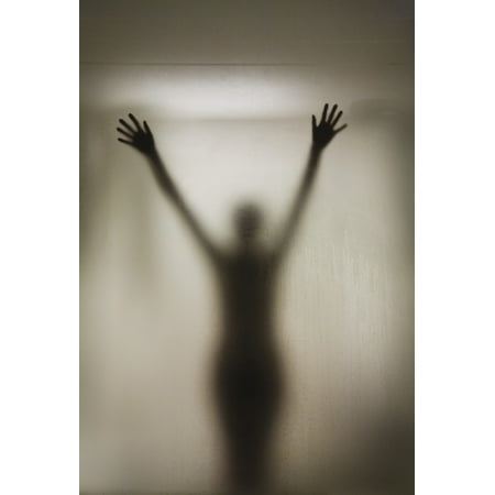 Silhouette Of A Nude Woman Behind The Glass Door Of A Shower Stall Canvas Art - Perry Mastrovito  Design Pics (24 x