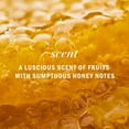 thumbnail image 7 of 2X - Herbal Essences Pure Plants Sulfate Free Honey Daily Moisture Conditioner 13.5 fl oz, 7 of 7