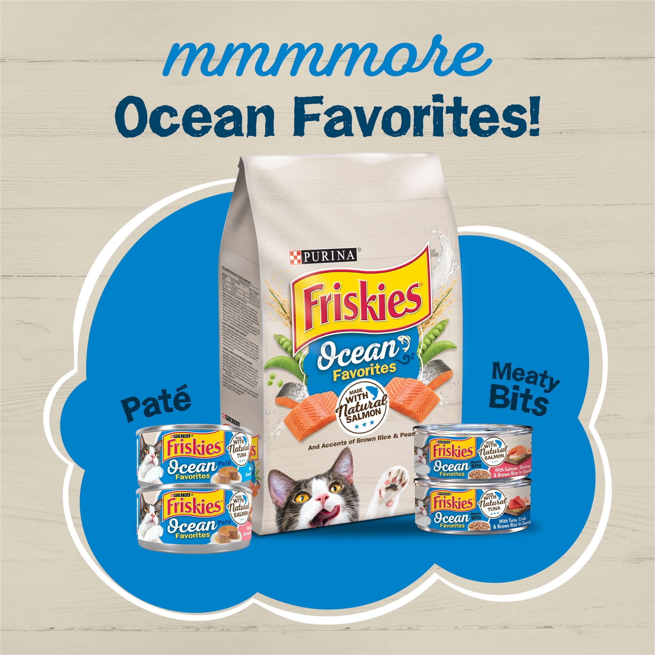 Purina Friskies Ocean Favorites Pate Wet Cat Food Salmon, 5.5 oz Cans (24 Pack)
