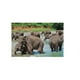 thumbnail image 2 of Rompecabezas Familia Elefantes 1000 Pzs KELVIN Familia elefantes, 2 of 2