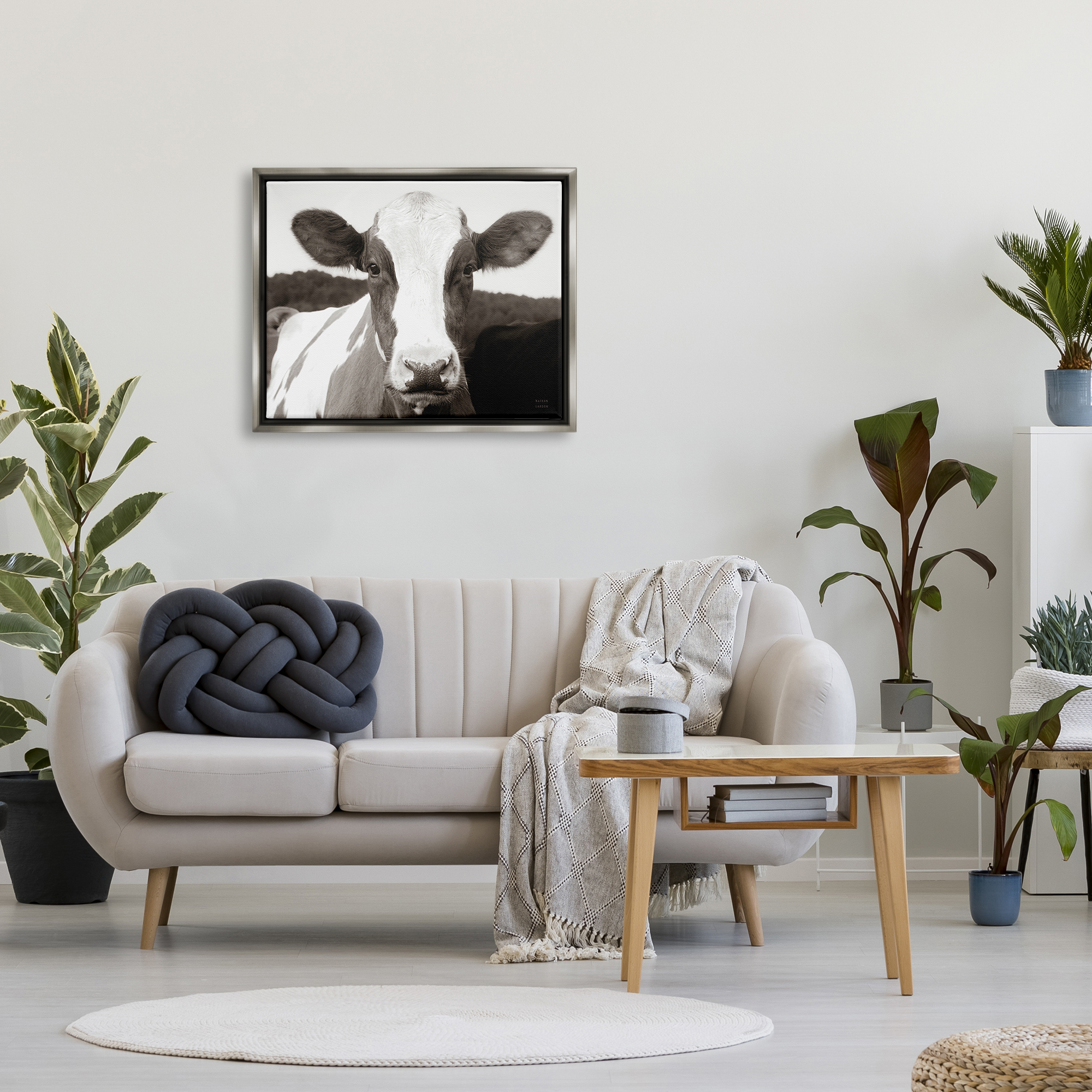 Stupell Industries Cow Portrait Farm Landscape Animals & Insects Photography Gray Floater Framed Art Print Wall Art, 31 x 25
