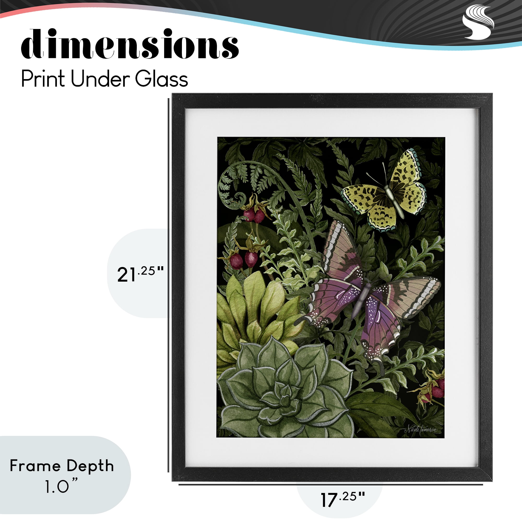 Stupell Industries Dark Succulents Midnight Garden Black Framed Print Under Glass, design by Nicole Tamarin
