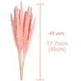 thumbnail image 3 of Coolmade 45-Piece, 17" Earth Cocoa Pink Boho Decor for Dried Pampas Grass, 3 of 7