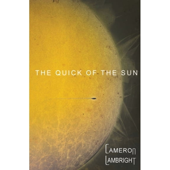 The Saga of the Sun The Quick of the Sun, Book 2, (Paperback)