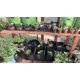 thumbnail image 5 of Juego de 2 bolsas cuadradas de tela gruesa para plantar verduras, 107 litros, 4 rejillas, macetero para patatas, zanahorias, cebollas y flores Rojo Verde Cocina, Decoración y Otros, 5 of 5