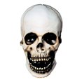 thumbnail image 1 of Costumes For All Occasions DU350 Skull, 1 of 1