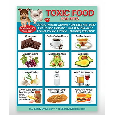 Tlc Safety By Design Toxic Foods Poison For Pets Dogs Cats Emergency Ice Home Alone Refrigerator Magnet Qty 1 Walmart Canada Tlc Safety By Design Toxic Foods Poison For Pets Dogs Cats Emergency Ice Home Alone Refrigerator Magnet Qty 1 Walmart Canada