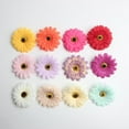 thumbnail image 3 of Cabezas de Flores Artificiales Soledad 10 Piezas de Margarita Gerbera para Bricolaje Mixto, 3 of 9