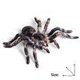 thumbnail image 2 of Ksopiavobs Realistic Animal Figures - Spider Action Model Lifelike Insect Toy Figures - Educational Learning Toys Birthday Set for Boys Girls Kids Toddlers (Giant Whiteknee), 2 of 7