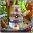 thumbnail image 2 of 1~7PCS Garden Automatic Watering Tool Elk/Christmas Tree Indoor Drip Irrigation Watering System Potted Plant Waterers Spike, 2 of 5