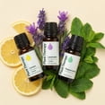 thumbnail image 6 of Plant Therapy Lemon, Lavender and Peppermint Essential Oil Set 10 mL (1/3 oz) 100% Pure, Undiluted, Natural Aromatherapy, 6 of 7