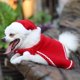 thumbnail image 2 of Capa de terciopelo rojo navideño para perro, capa para cachorro, disfraz, capas y sombrero de Navidad para mascota JM, 2 of 5