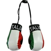 Italy Mini Boxing gloves (Italia)