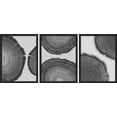 thumbnail image 2 of PixonSign Framed Canvas Print Wall Art Set - Black & White Tree Rings Pattern Poster Art - Set of 3 Nature Wilderness Botanical Plants Photography Wall Décor for Living Room - 8"x10" Black, 2 of 5