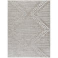 thumbnail image 1 of Surya Nomadic Polyester 6'7" X 9' Rectangle Area Rugs NMC2300-679, 1 of 3