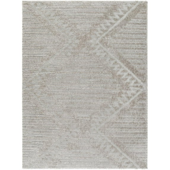 Surya Nomadic Polyester 6'7" X 9' Rectangle Area Rugs NMC2300-679