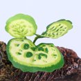 thumbnail image 4 of Reptile Root Decoration Aquarium Landscape Ornament 2pcs Green, 4 of 8