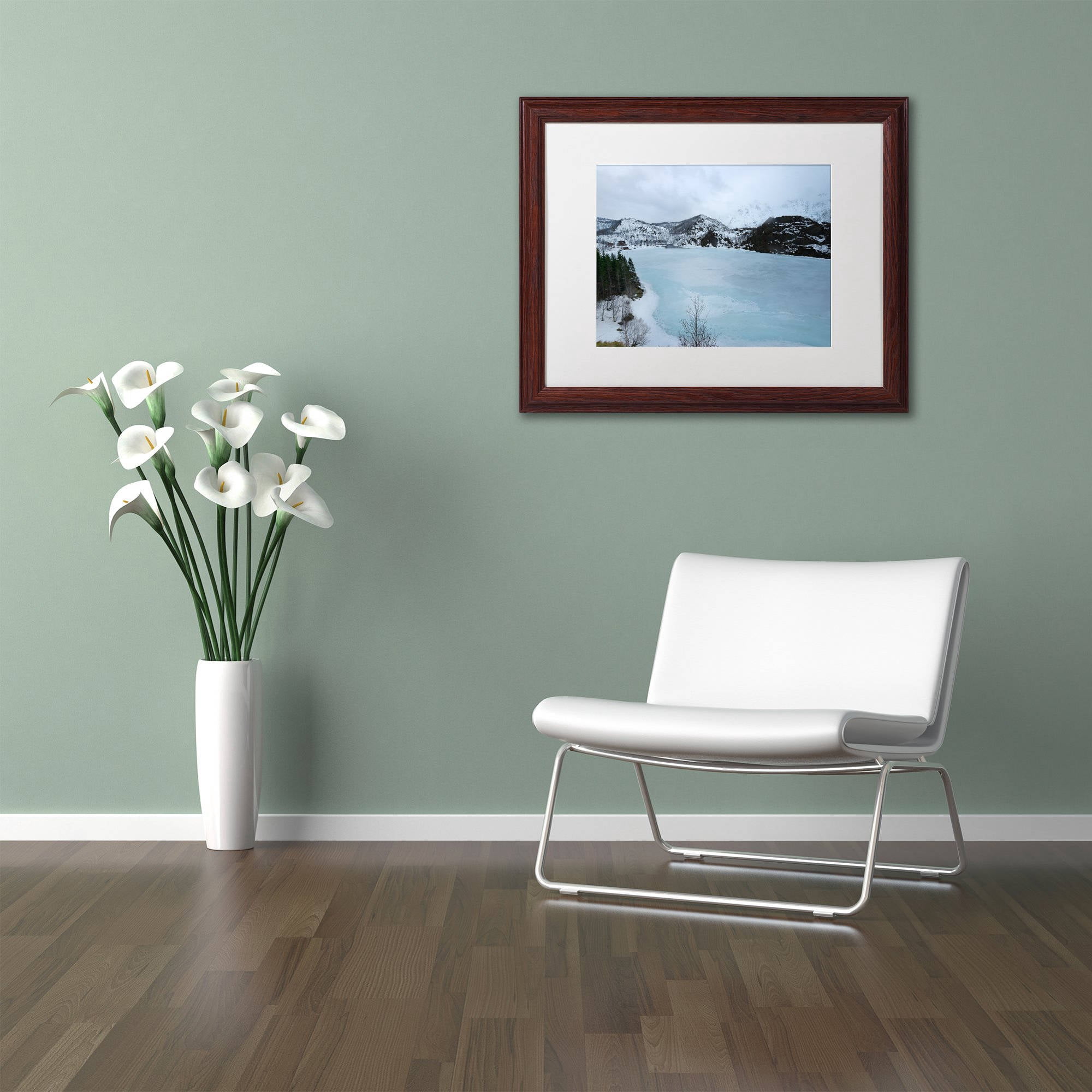 Trademark Fine Art "Picture That" Canvas Art by Philippe Sainte-Laudy, White Matte, Wood Frame