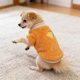 thumbnail image 4 of Ropa de invierno para mascotas de dos patas, cálida, suave y acogedora, para perros pequeños, medianos y gatos, para uso en interiores y exteriores. Ropa de poliéster para mascotas., 4 of 6