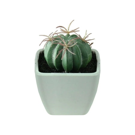 3.5" Mini Faux Green Cactus with Spikes in White Vase ...