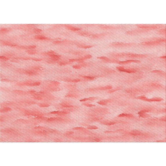 Ahgly Company Machine Washable Indoor Rectangle Transitional Flamingo Pink Area Rugs, 2' x 5'
