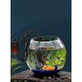 thumbnail image 1 of Mini Aquarium Heater 10w With Digital Display - Adjustable Thermostat For Freshwater And Marine Tanks, 1 of 5