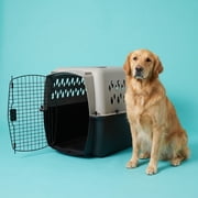 (3 pack) Vibrant Life Large Plastic Hard-Sided Pet Carrier, Black and Gray, 90 lb Limit