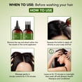 thumbnail image 4 of Botanic Hearth Bhringraj & Amla Hair Oil | Nourishing Scalp & Hair Oil for Dry, Frizzy Hair | Supports Fuller-Looking Hair & Shine | Lightweight Botanical Formula | No Harsh Additives | 6.7 fl oz, 4 of 13