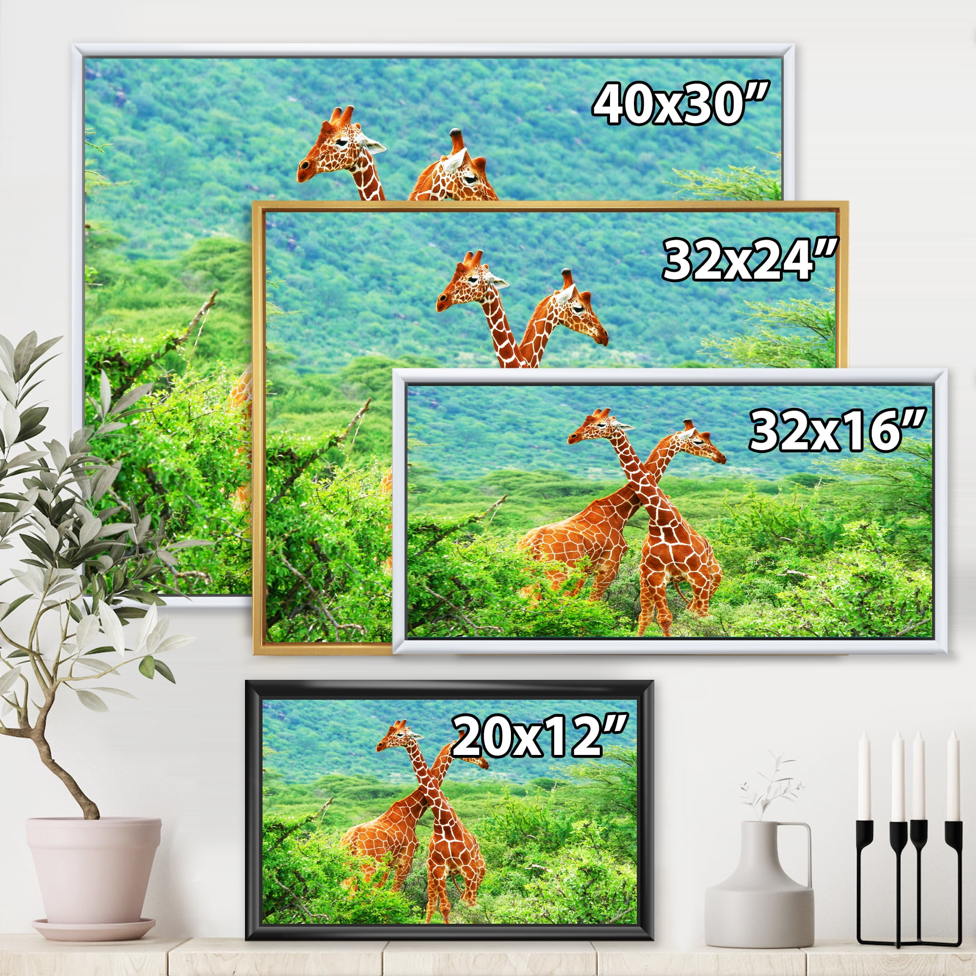 Two Giraffes Fighting In Lush Green Wild 20 in x 12 in Framed Painting Canvas Art Print, by Designart