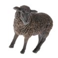 thumbnail image 4 of Xingzhi Realistic Plastic Animal Figure Simualtion Model Toys Black Sheep, 4 of 5