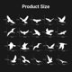 thumbnail image 5 of Anti Collision Window Bird Stickers Decals Glass Door Protect and Save Bird Strikes, 5 of 5