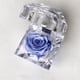 thumbnail image 1 of Mini rosa preservada color Sky Blue en cajita de regalo Mina’an-flor eterna, 1 of 4