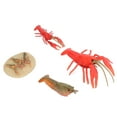 thumbnail image 3 of Lobster Growth Cycle Model, Excellent Gift Growth Cycle Model Cute  For Home Decoration For Kids Education Toy, 3 of 8
