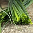 thumbnail image 2 of Proven Winners 4" Medium Chives Chives Live Herb Plant in 4.25" Pot (4 Count), 2 of 7