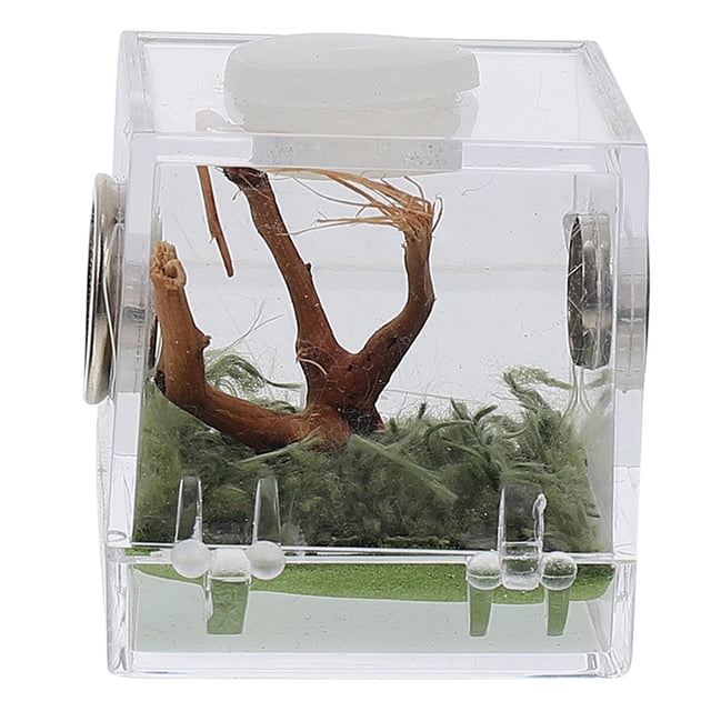 Miangastore Spider Breeding Box Insect Breeding Box Acrylic Landscape Box Reptile Breeding Case