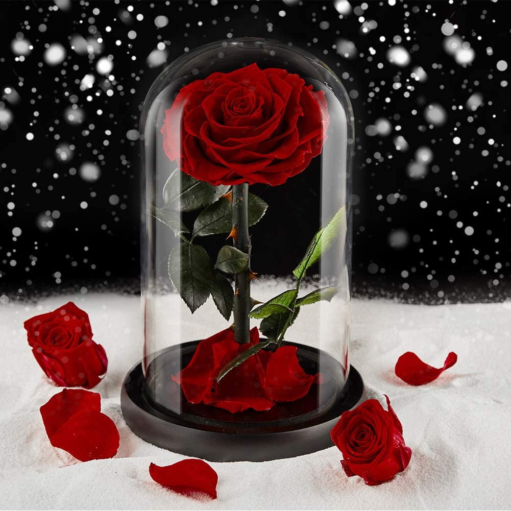 Eterfield Preserved Flower Rose Eternal Rose Forever Flower in Glass Dome Gifts for Her Thanksgiving Christmas Valentine's Day Mother's Day Anniversary Birthday Red