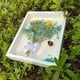 thumbnail image 5 of Marco de fotos de flores secas de madera, soporte de exhibición de flores secas, marco de fotos flotante decorativo, caja de exhibición de bricolaje, adecuado para flores secas, especímenes,, 5 of 6