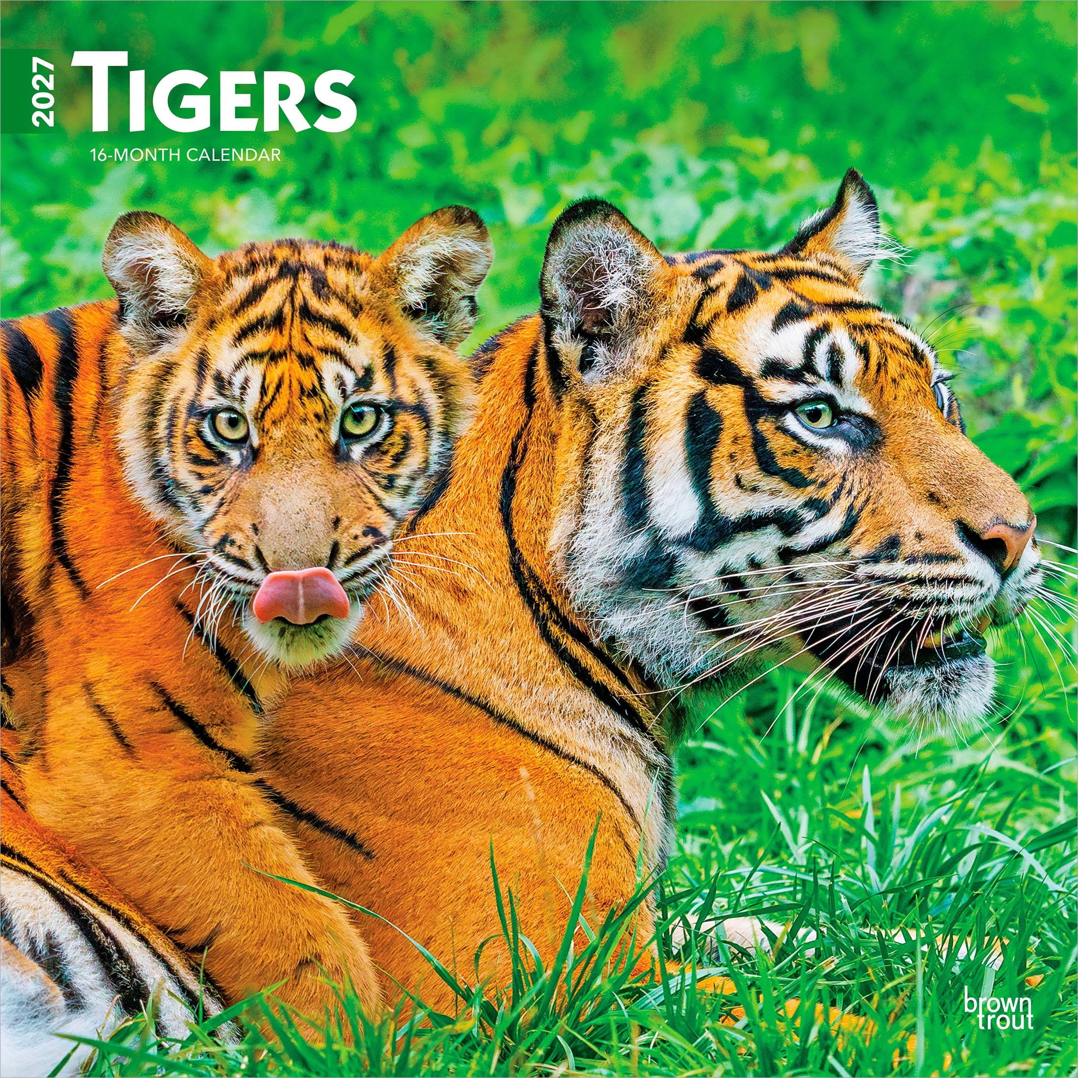 Tigers 2027 Square