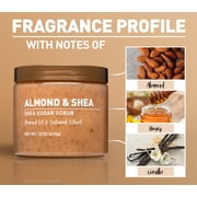 Shea Sugar Scrub, Almond and Shea, 18 oz
