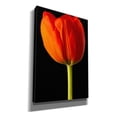 thumbnail image 2 of Epic Graffiti 'Lady In Red' by Pamela Plummer, Canvas Wall Art, 18"x26", 2 of 2