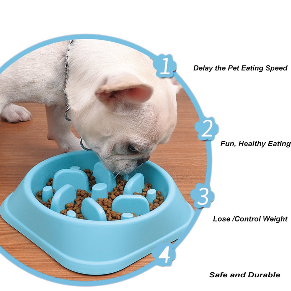 Greswe Slow Feeder Small Dog Bowls Non Slip Puzzle Bowl Fun Feeder Interactive Bloat Stop Dog Bowl Anti Choking Dog Bowl With Bright Macaroon Blue