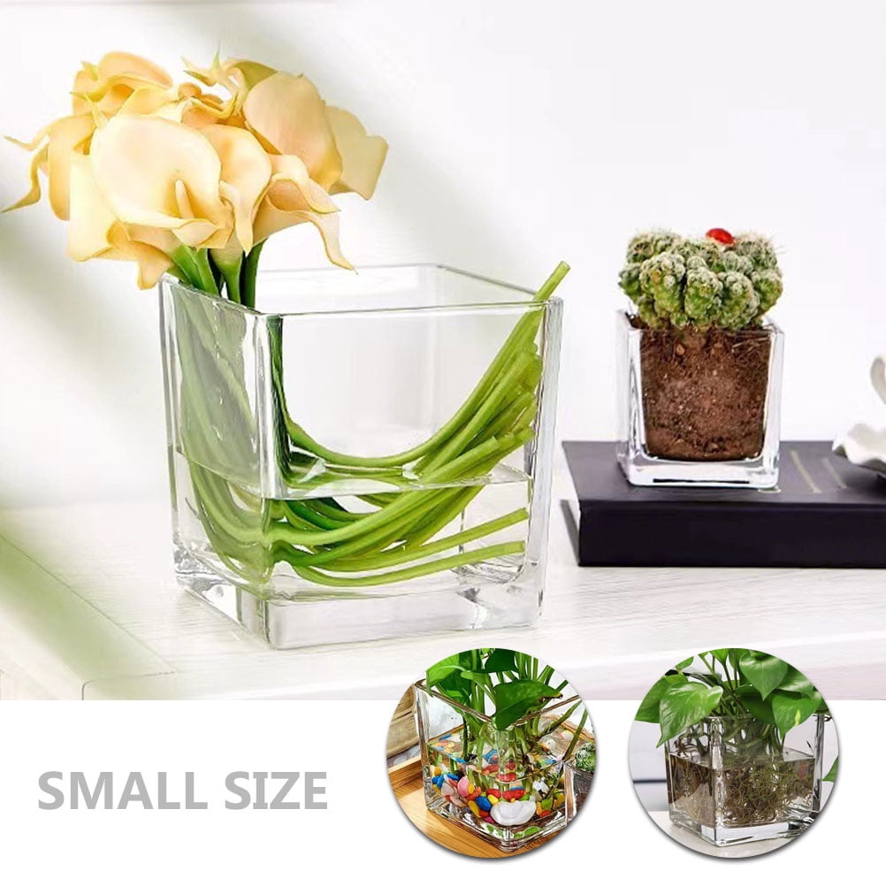 LEXSOMEO Square Glass Vase Clear Cube Vase Hydroponic Vase