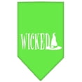 thumbnail image 3 of Mirage Pet Products Wicked Screen Print Bandana Blue Camo, 3 of 8