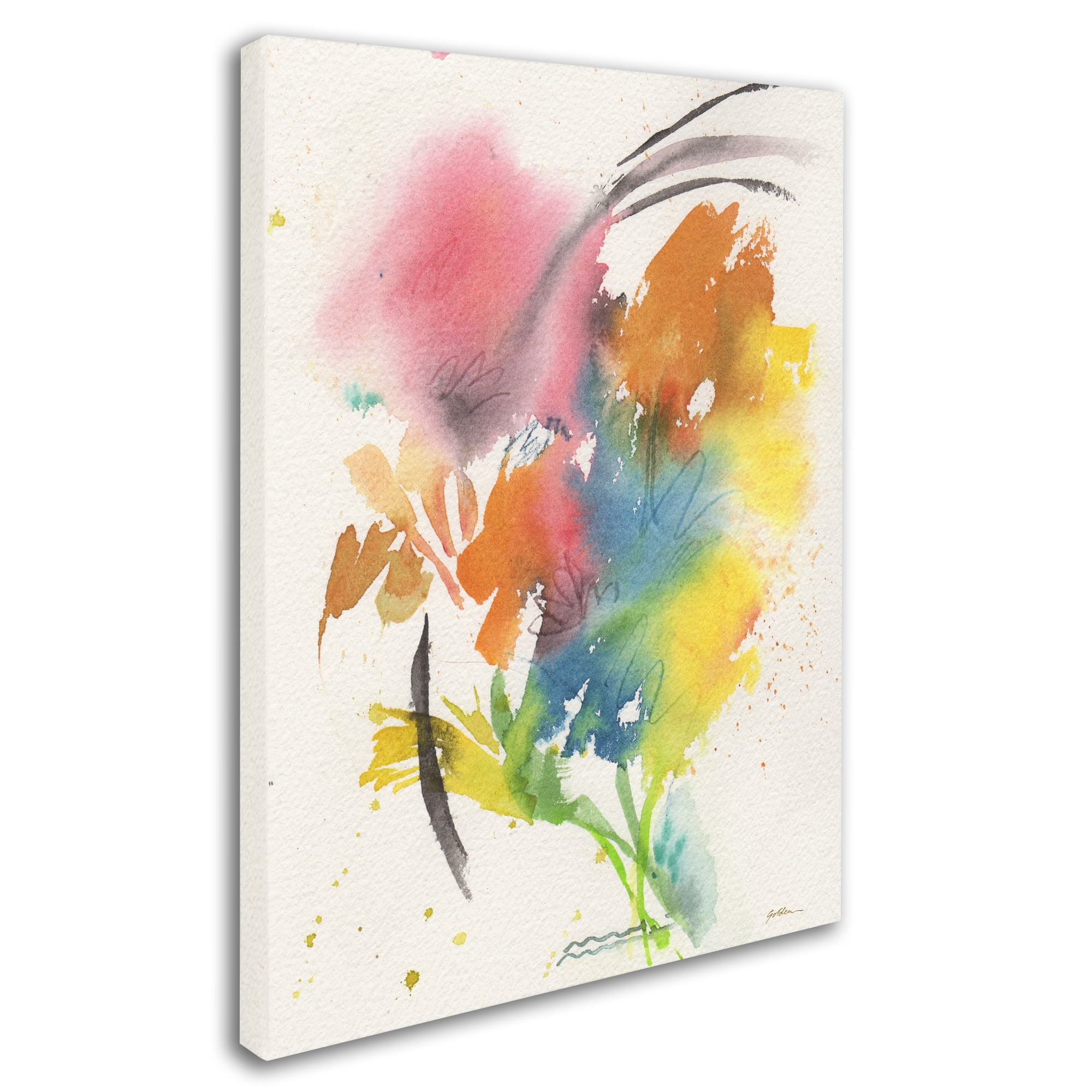 Trademark Fine Art "Rainbow Bouquet" Canvas Art by Sheila Golden